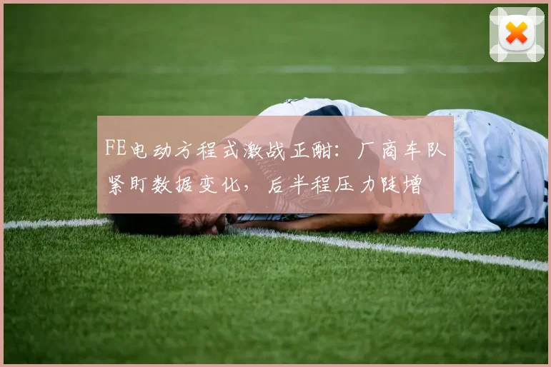 FE电动方程式激战正酣：厂商车队紧盯数据变化，后半程压力陡增