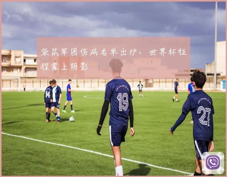 袋鼠军团伤病名单出炉，世界杯征程蒙上阴影