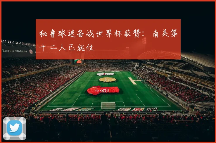 秘鲁球迷备战世界杯获赞:南美第十二人已就位