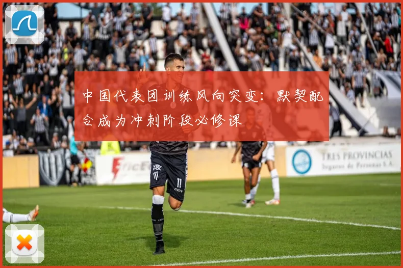 中国代表团训练风向突变:默契配合成为冲刺阶段必修课