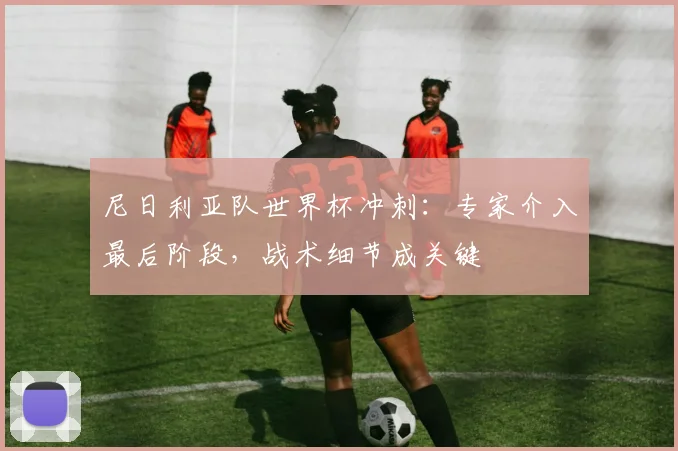 尼日利亚队世界杯冲刺：专家介入最后阶段，战术细节成关键